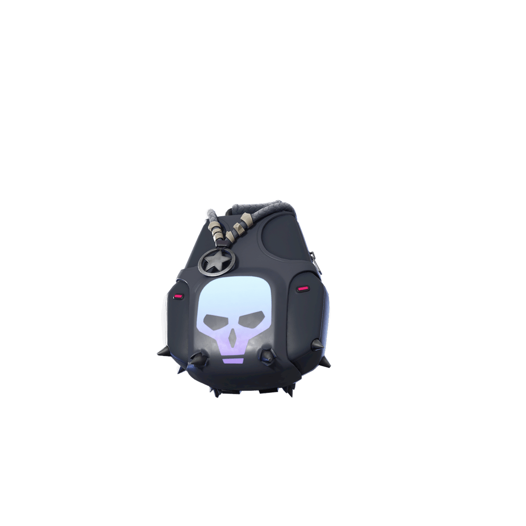 Expert's Bonebag