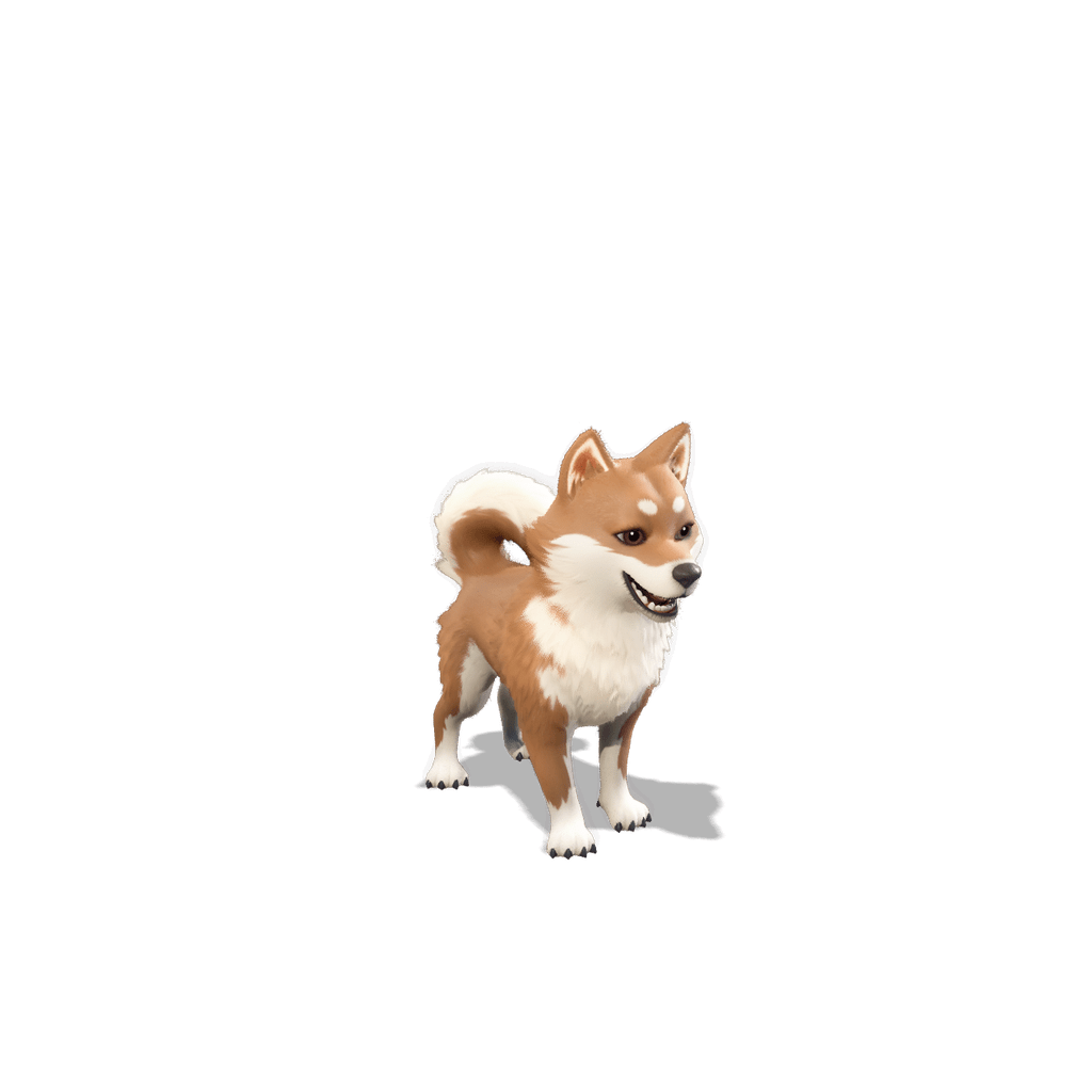 Miso