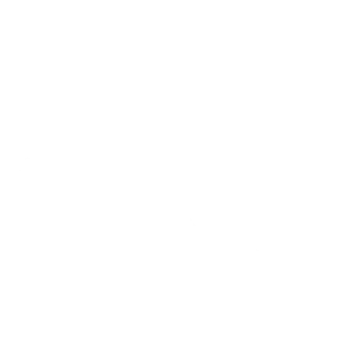 Burpee