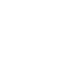 Peter Griffin Speed Bag