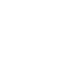 Llamacorn Sleigh