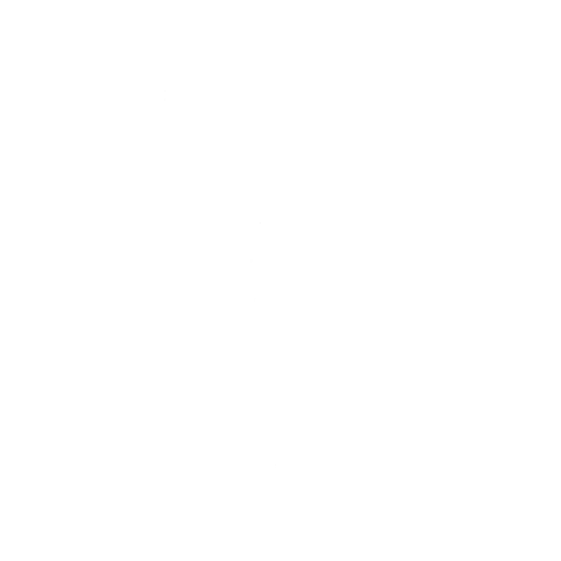 Team Mech
