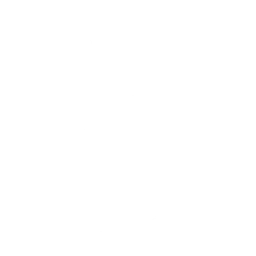 Lights Out