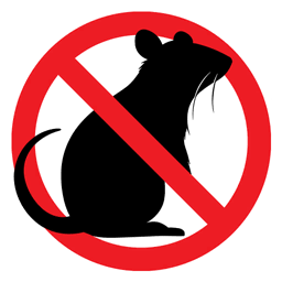 No Rats